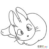兔子简笔画图片