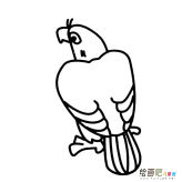 老鹰背影动物简笔画步骤图片大全