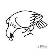老鹰动物简笔画步骤图片大全二
