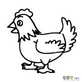 小公鸡动物简笔画步骤图片大全二