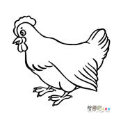 大公鸡动物简笔画步骤图片大全