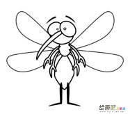 卡通蚊子动物简笔画步骤图片大全