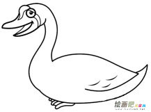 大白鹅动物简笔画步骤图片大全