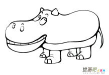 卡通河马动物简笔画步骤图片大全