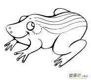 青蛙动物简笔画步骤图片大全