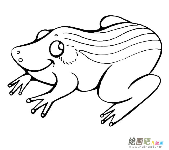 青蛙动物简笔画步骤图片大全