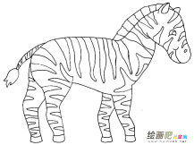 斑马简笔画图片