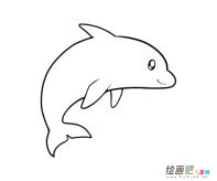 海豚动物简笔画步骤图片大全