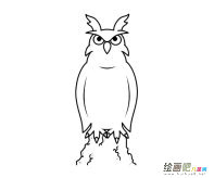 猫头鹰简笔画步骤图片大全