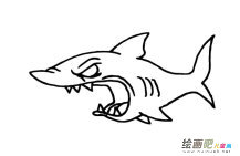 恐怖鲨鱼动物简笔画步骤图片大全