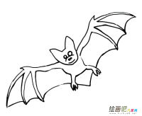 蝙蝠动物简笔画步骤图片大全