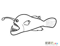 琵琶鱼动物简笔画步骤图片大全