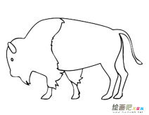 公牛动物简笔画步骤图片大全