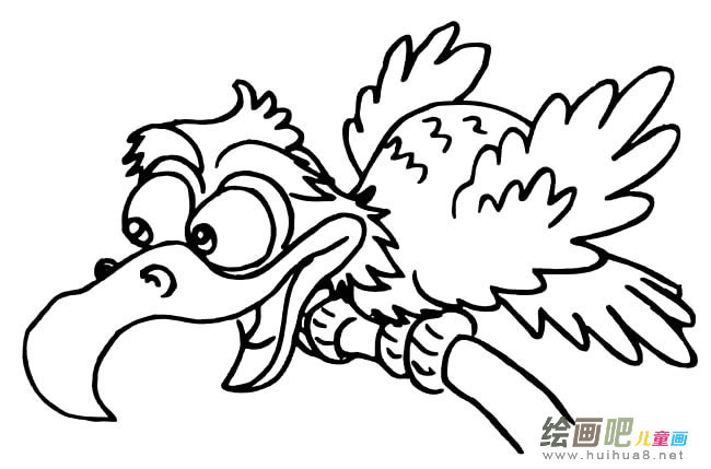 秃鹫动物简笔画步骤图片大全