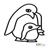 企鹅动物简笔画步骤图片大全