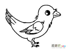 小鸟简笔画图片