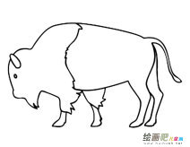 牦牛简笔画图片
