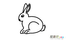 兔子简笔画图片