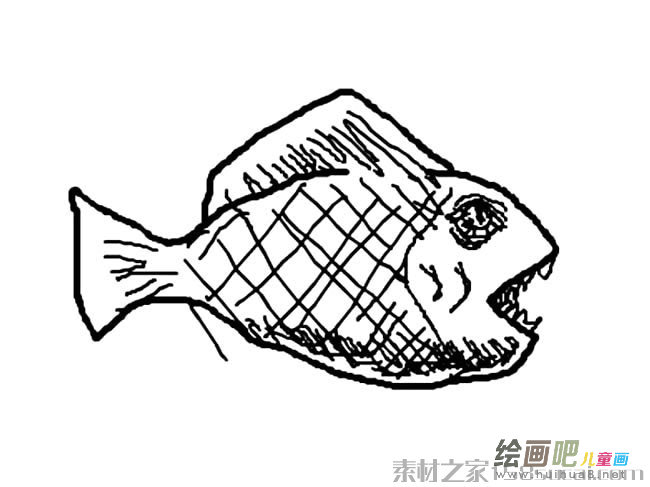 食人鱼简笔画图片