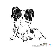 蝴蝶犬简笔画图片