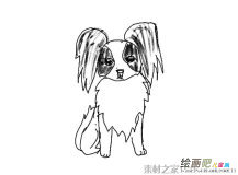 蝴蝶犬狗狗简笔画图片