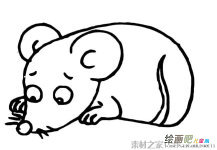 可爱小老鼠简笔画图片