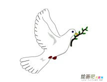 和平鸽简笔画图片