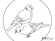 和平鸽简笔画图片