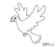 和平鸽简笔画图片