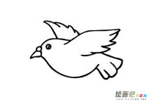 和平鸽简笔画图片
