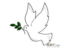 和平鸽简笔画图片