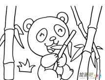大熊猫吃竹子简笔画图片