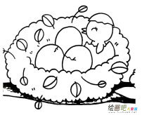 超萌可爱刚出壳的小鸟简笔画