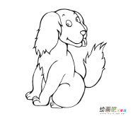 宠物狗的简笔画图片