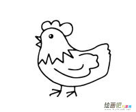 公鸡动物简笔画图片