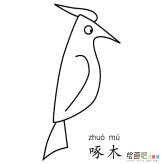 手绘啄木鸟简笔画图片