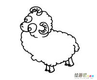 高傲的可爱绵羊简笔画图片