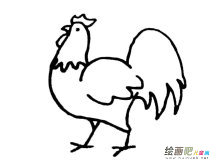 卡通公鸡简笔画图片