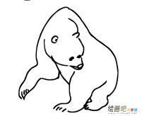 北极熊简笔画图片大全