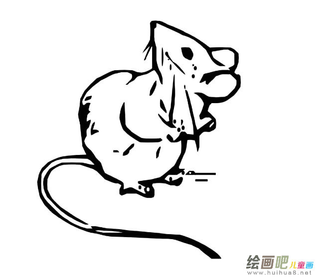 肮脏的小老鼠简笔画图片