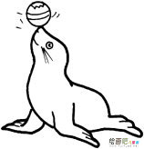 顶球的海豹简笔画步骤图片大全