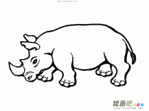 犀牛简笔画步骤图片大全