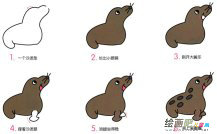 海豹动物简笔画步骤图片大全