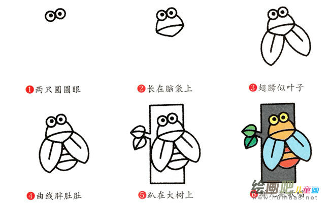 知了动物简笔画步骤图片大全