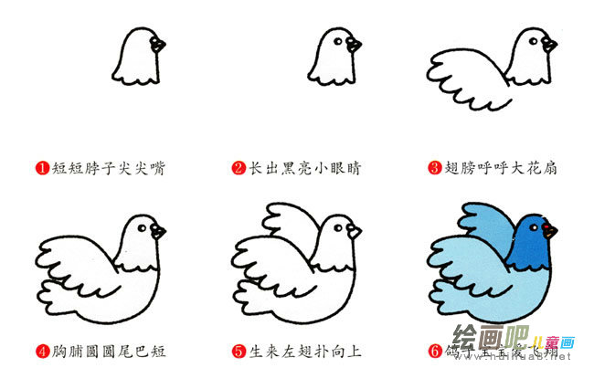 鸽子动物简笔画步骤图片大全