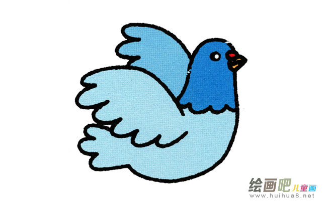 鸽子动物简笔画步骤图片大全
