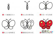 蝴蝶动物简笔画步骤图片大全