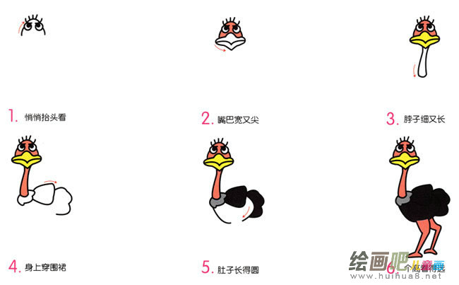 鸵鸟动物简笔画步骤图片大全