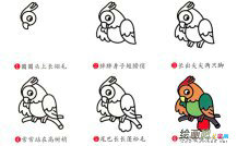 鹦鹉动物简笔画步骤图片大全