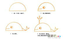 鲸鱼动物简笔画步骤图片大全